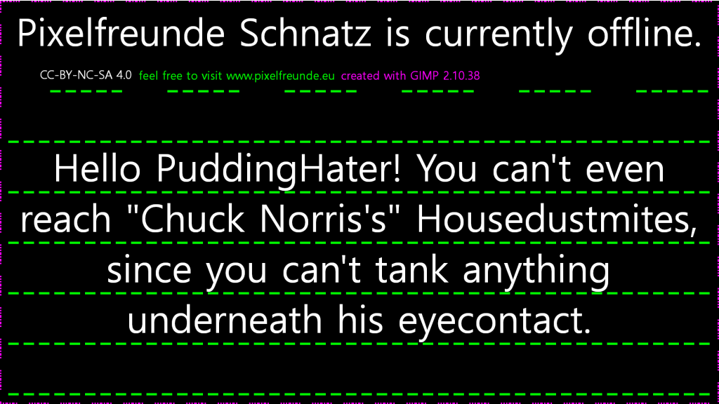 Pixelfreunde_OfflineScreen_HonouringChuckNorrisJokes